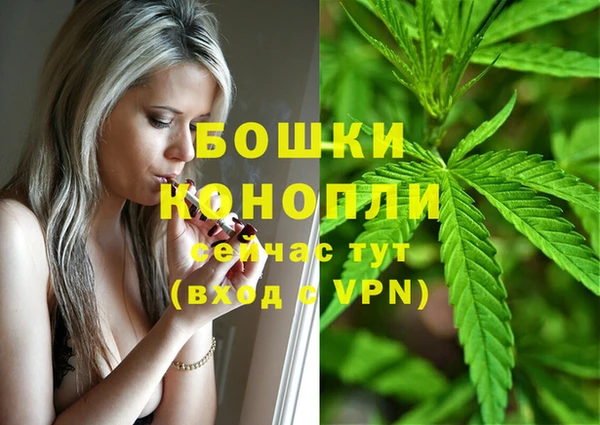 гидра Армянск