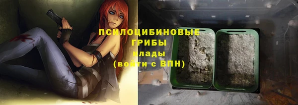 гидра Армянск