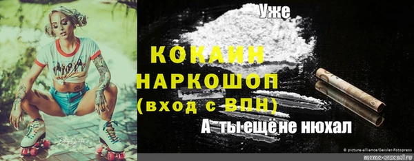 ешки Арсеньев