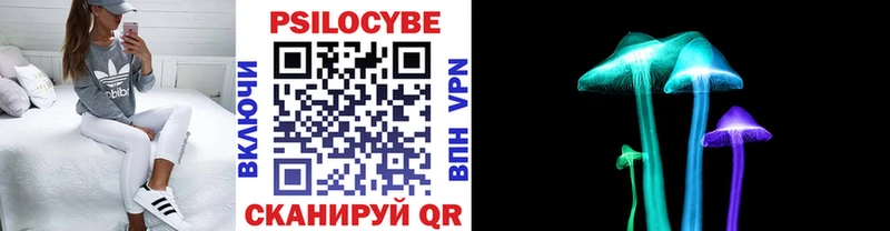 Галлюциногенные грибы Magic Shrooms  где продают наркотики  Ревда 